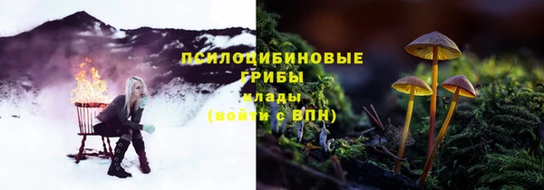 Альфа ПВП Арсеньев