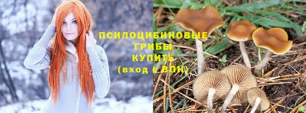 MDMA Армянск