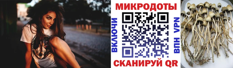 Псилоцибиновые грибы Magic Shrooms Сольвычегодск